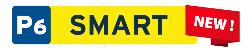 P6 smart_4
