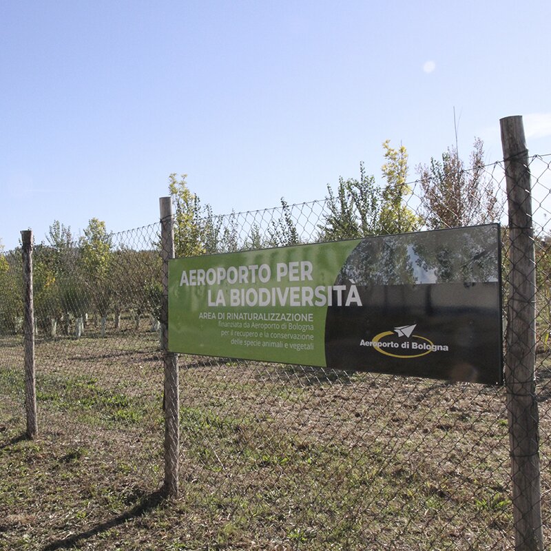 Planting a forest area north of the airport