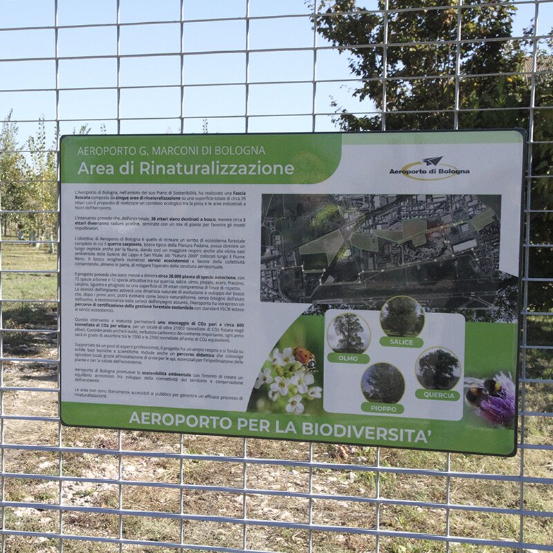 Planting a forest area north of the airport